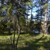 Suolijärvi